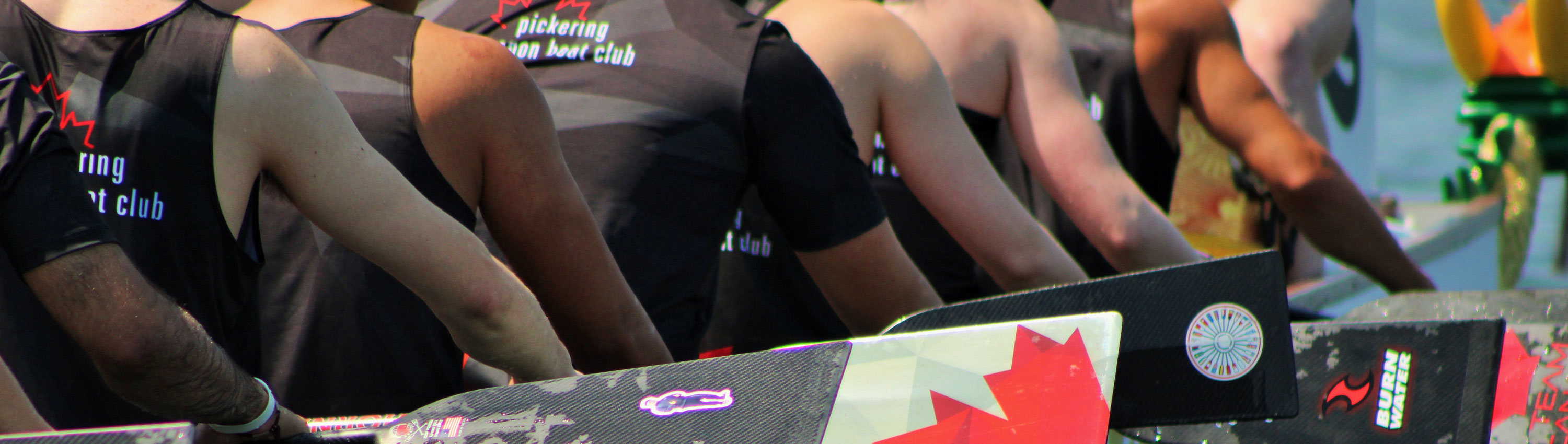 frenchman's bay paddling