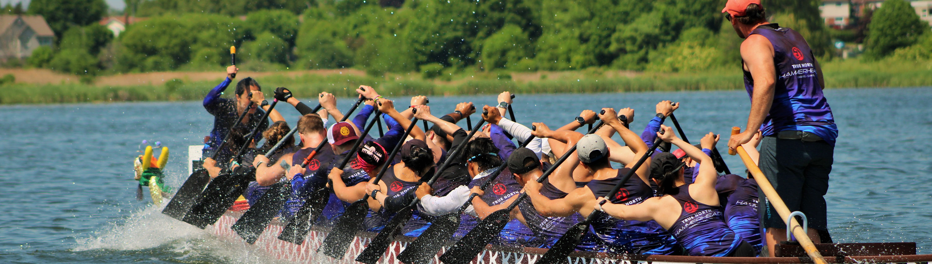 festival race